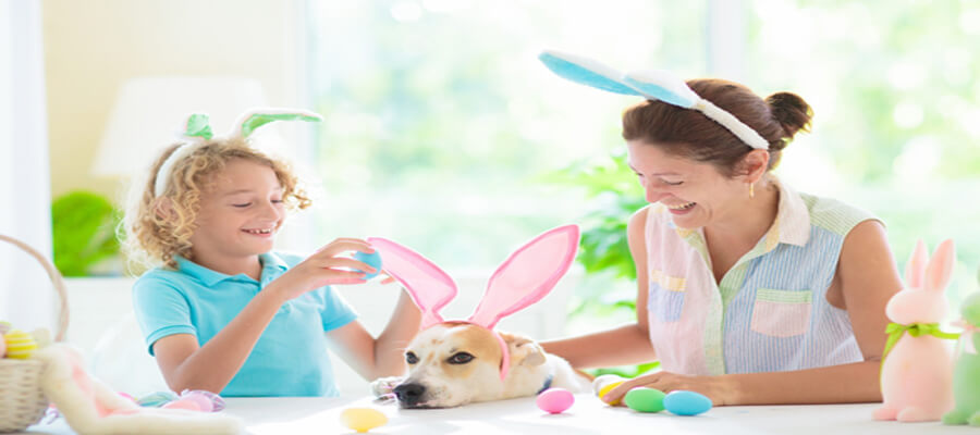 Host an Exciting Dog-Friendly Easter Egg Hunt: Tips and Ideas